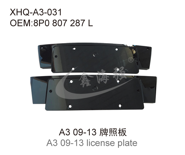 A3 09 13 license plate