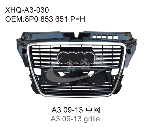 A3 09 13 front grille