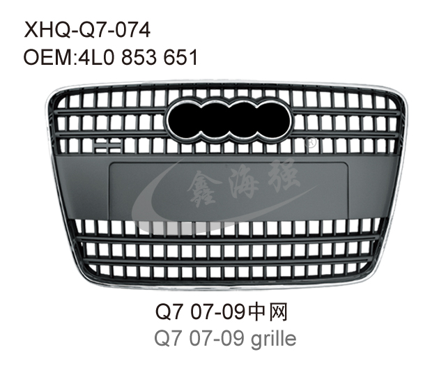 Q7 07-09 grille