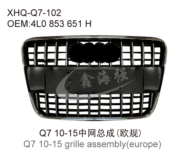 Q7 10-15   grille (european standard)