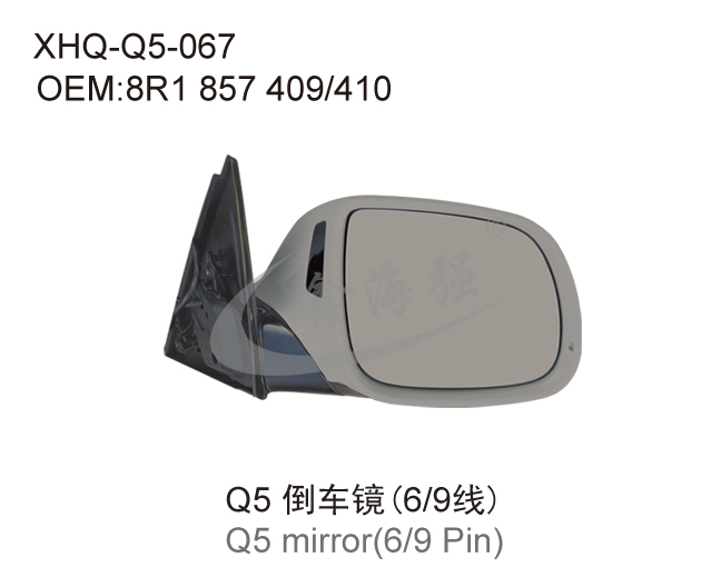  Q5 mirror