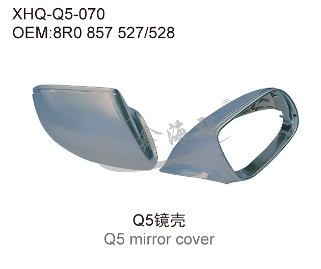  Q5 mirror lamp