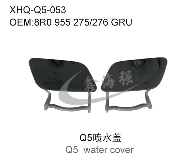  Q5 water cover