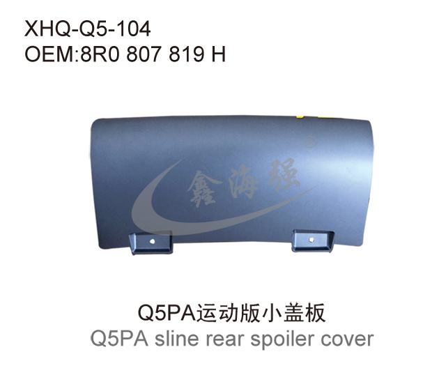 Q5PA  sline small cover