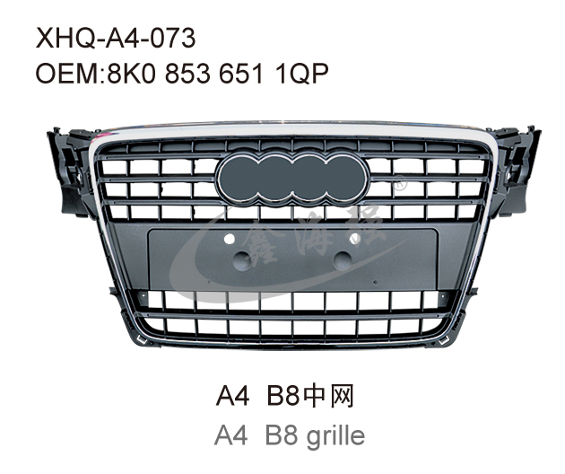 A4 B8 grille