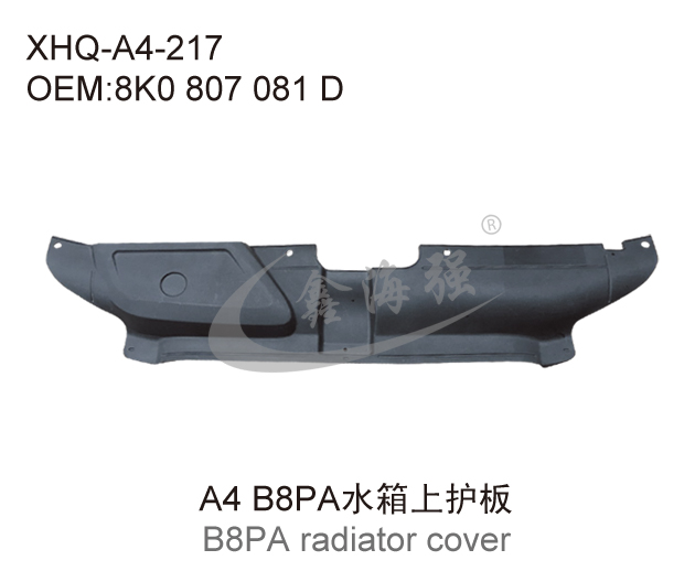 A4 B8PA radiator cover