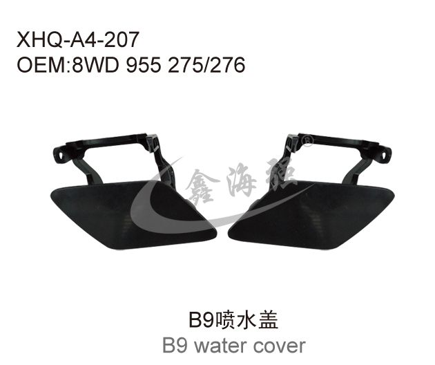 B9 water cover